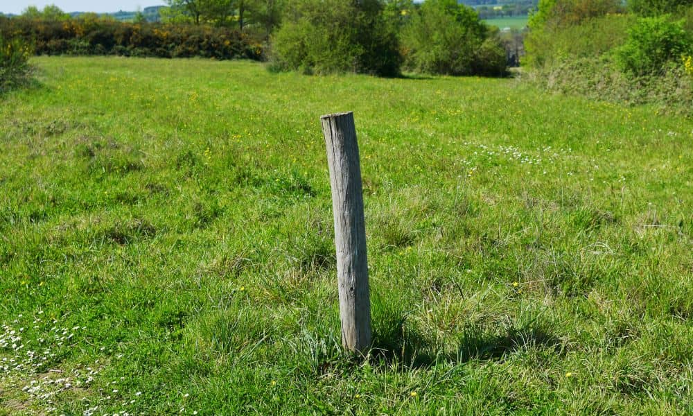 Wooden property marker used to identify a boundary survey line