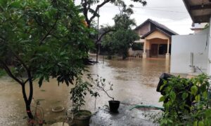 Flooded residential yard after heavy rain showing drainage issues that a topographic survey can help identify
