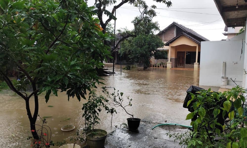 Flooded residential yard after heavy rain showing drainage issues that a topographic survey can help identify